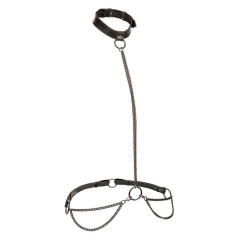CALEXOTICS - EUPHORIA KETTENHALFTERHALSBAND UND LEINE �BERGR�SSE