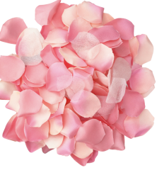 DIABLO PICANTE - 100 ROSA BL�TENBLTTER